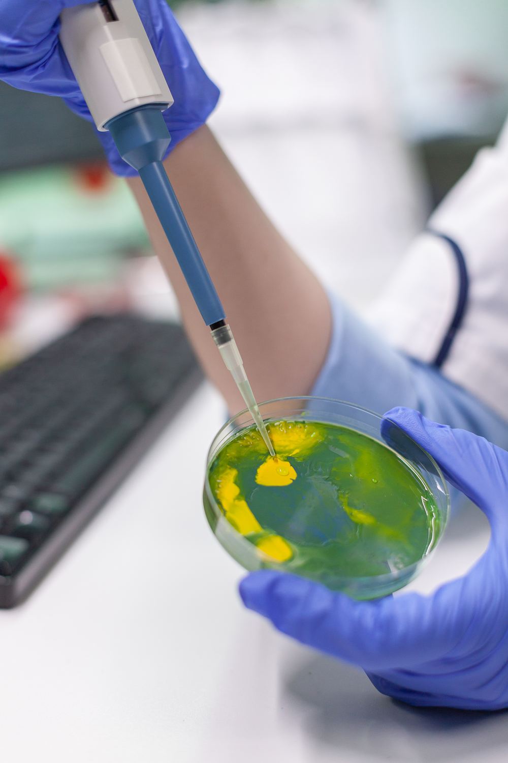 Cultivo de microorganismos analizado en laboratorio